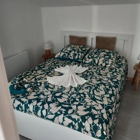 Le Petit Bambou لا روك-غاجياك